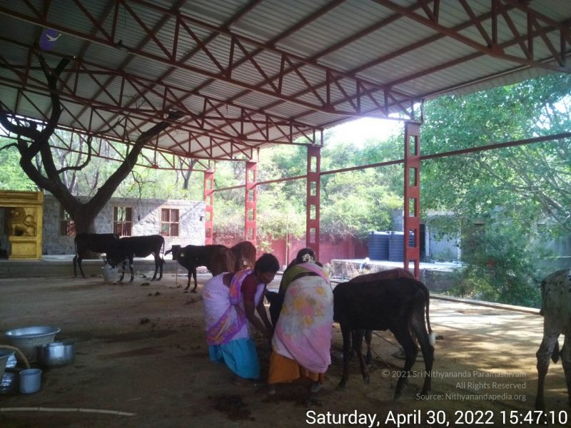 File:20220430 154709.jpg