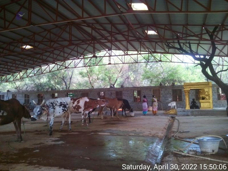 File:20220430 155005.jpg