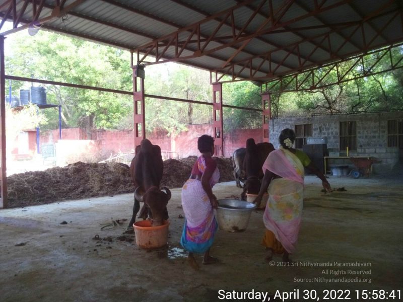 File:20220430 155840.jpg