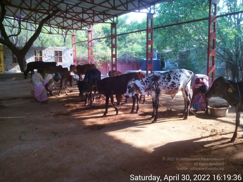 File:20220430 161935.jpg