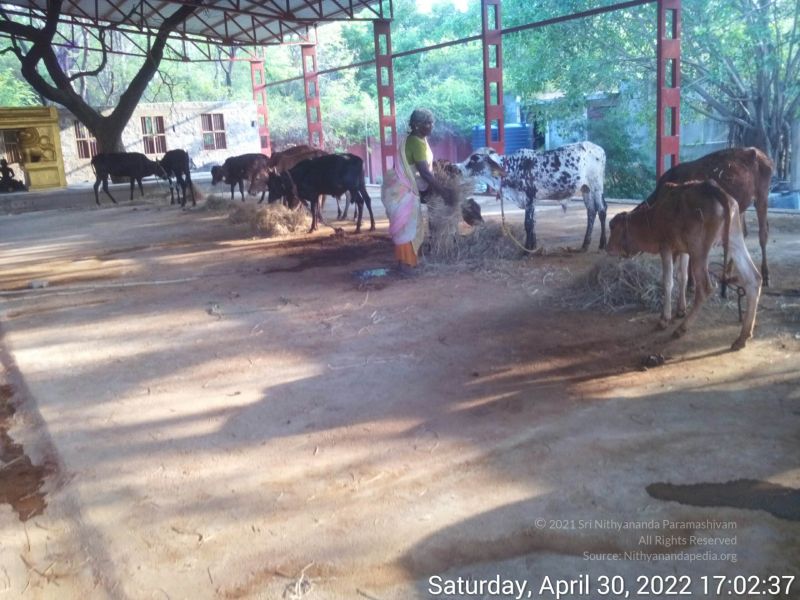 File:20220430 170237.jpg