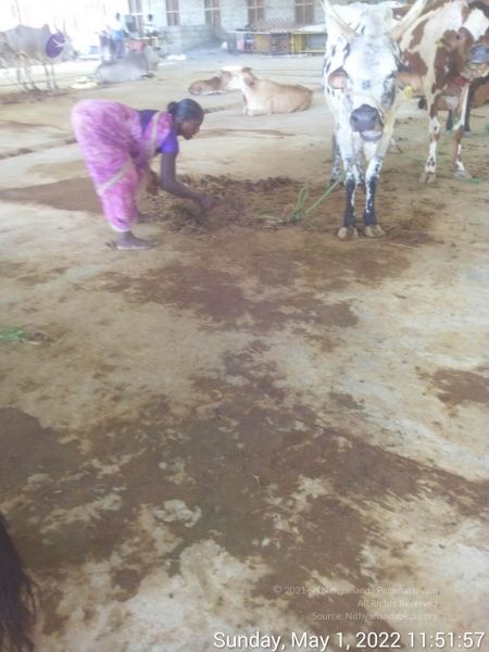 File:20220501 115157.jpg