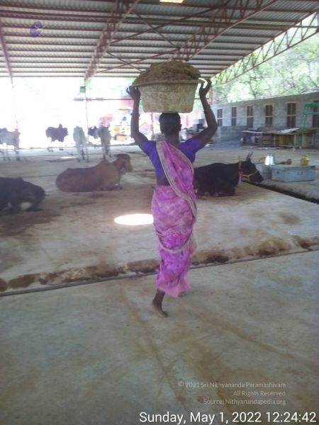 File:20220501 122442.jpg