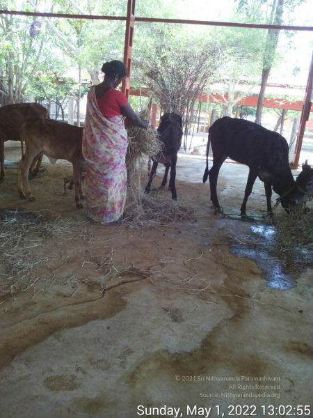 File:20220501 130254.jpg