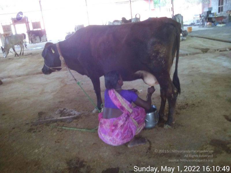 File:20220501 161049.jpg