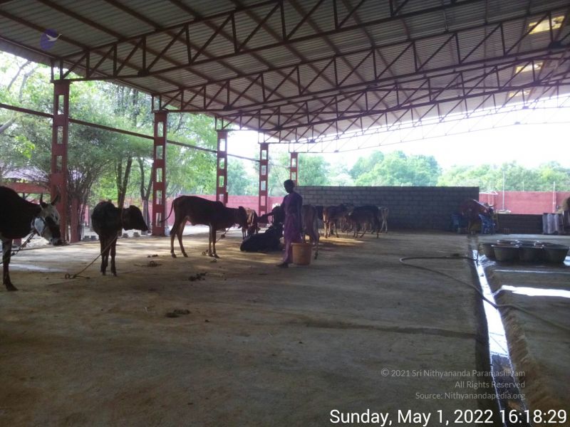 File:20220501 161828.jpg