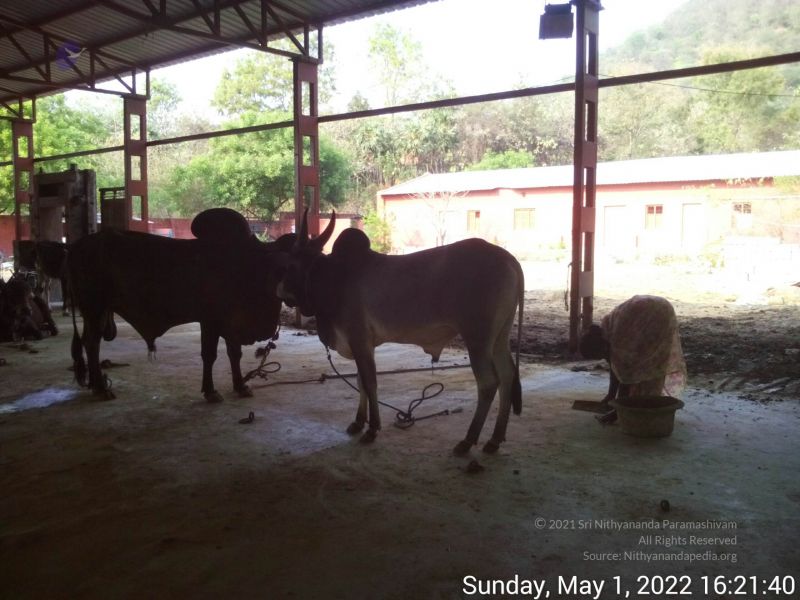 File:20220501 162139.jpg