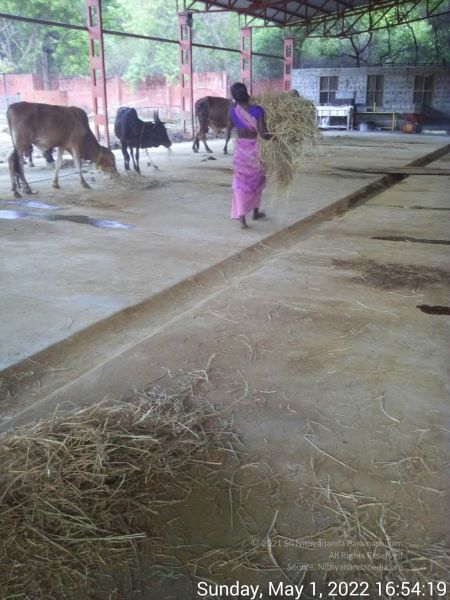 File:20220501 165418.jpg