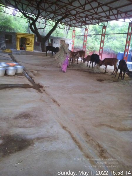 File:20220501 165814.jpg