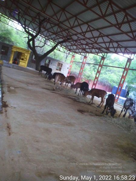 File:20220501 165823.jpg