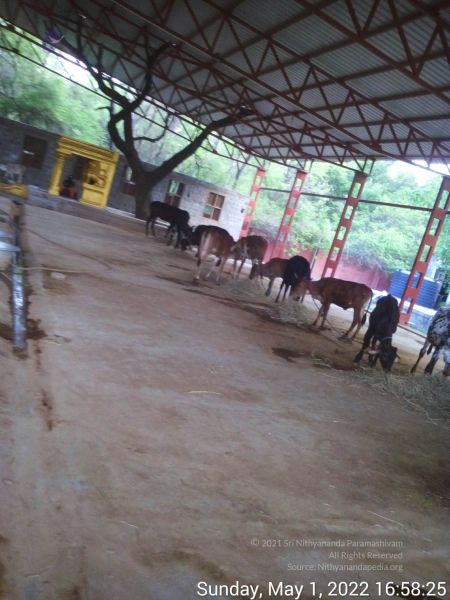 File:20220501 165825.jpg