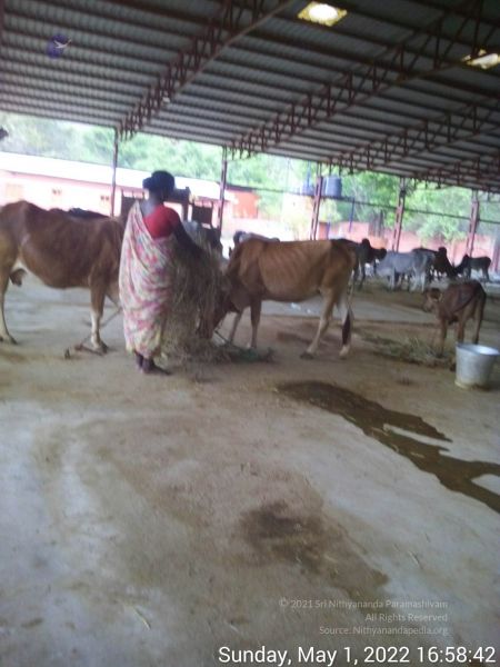 File:20220501 165841.jpg