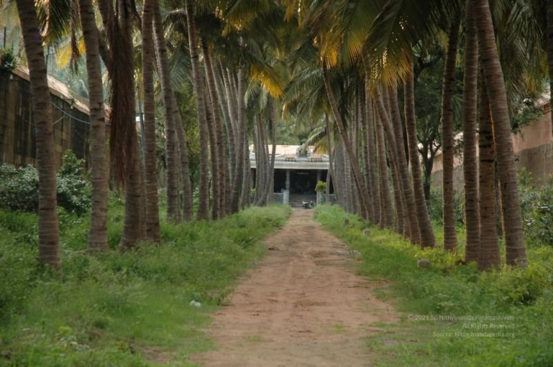 File:20220510 1007 279425107 FB.jpg