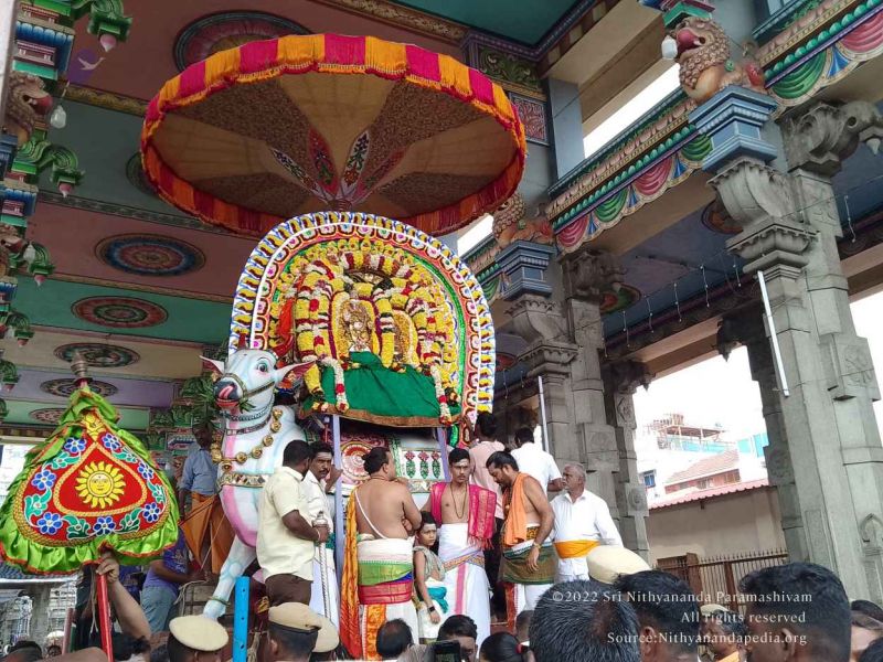 File:20221201 110637.jpg