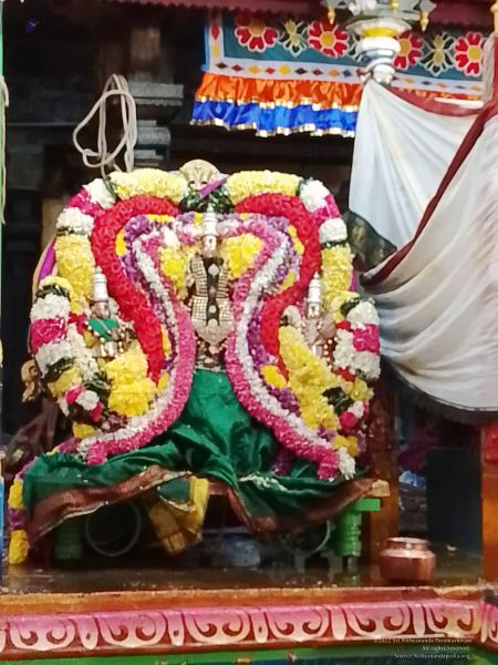 File:20221203 041330.jpg