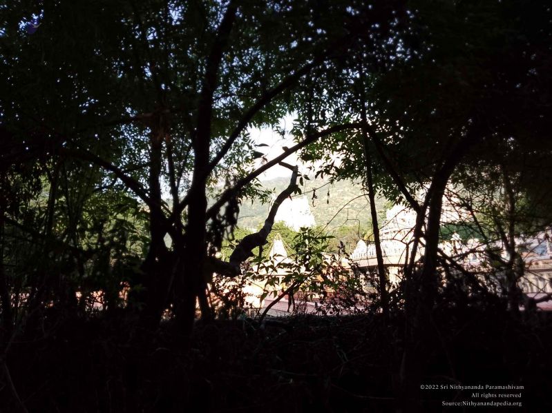 File:20221203 072220.jpg