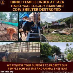 20230817 1005 366081342 FB.jpeg