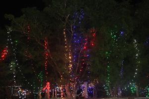 20230831 1005 371890788 FB.jpeg