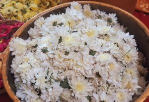 20240122 1027 420072303 FB.jpg