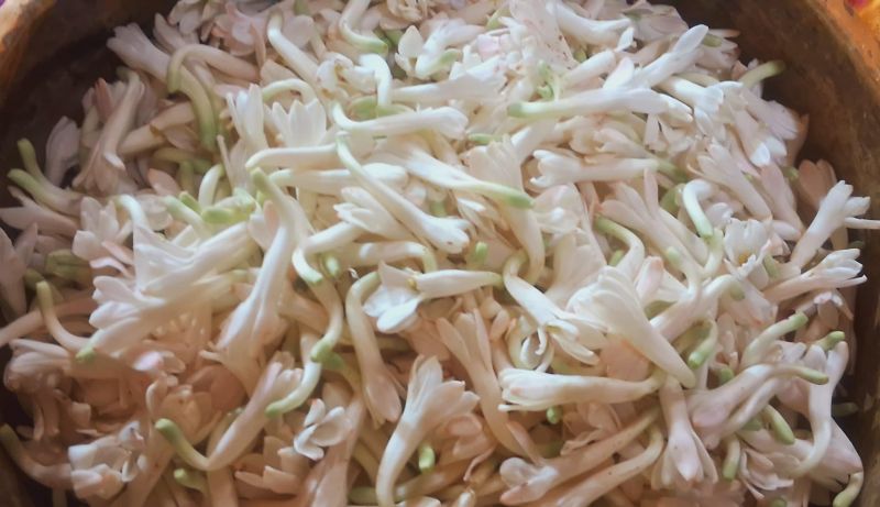 File:20240122 1030 421861349 FB.jpg