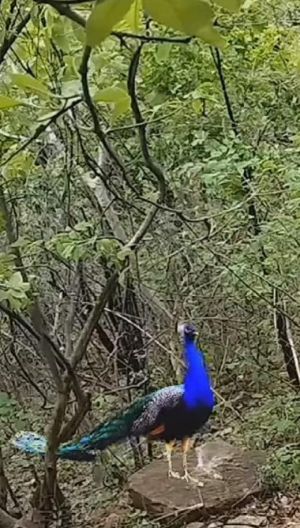 20240124 1058 421680923 FB.jpg