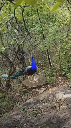 20240124 1059 422259849 FB.jpg