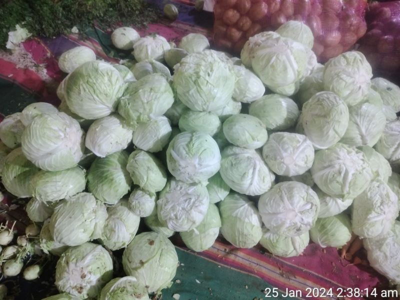 File:20240125 1010 420089081 FB.jpg