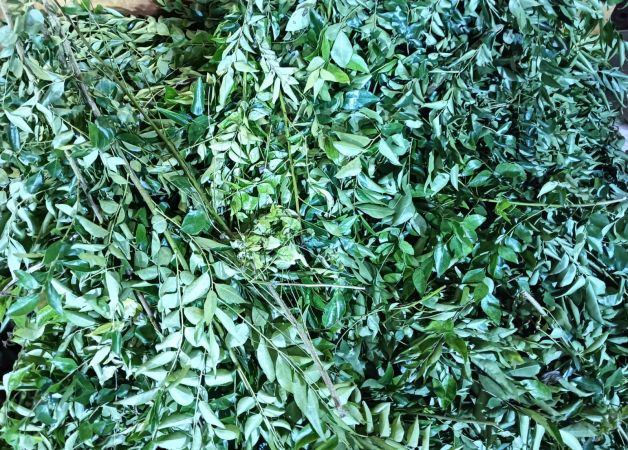 20240125 1037 421966307 FB.jpg