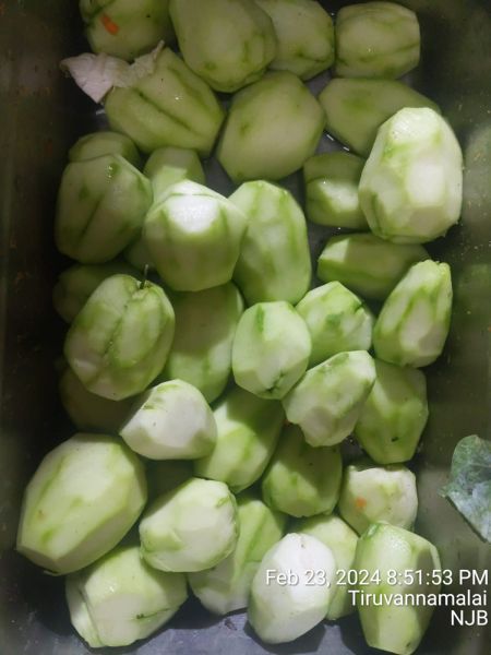 File:20240224 1012 425015790 FB.jpg