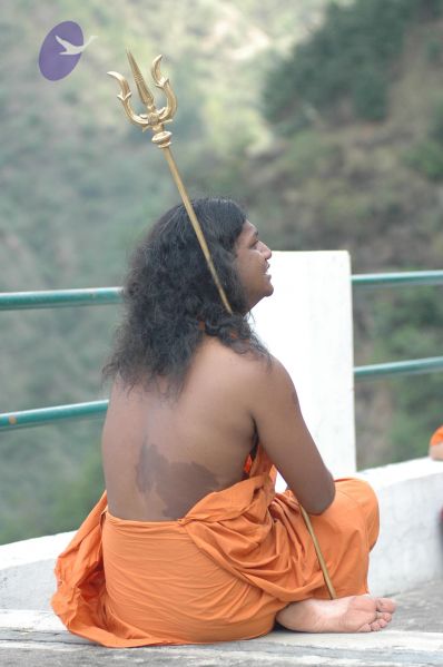 File:22nd 509 CMP WM.jpg