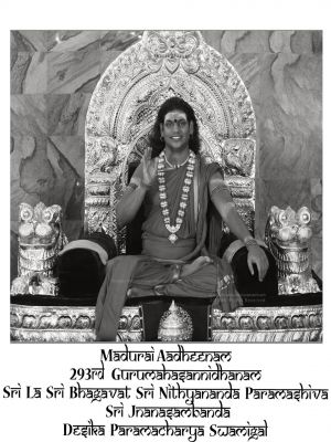 235522457 379971276829043 5775469957899758030 n.jpg