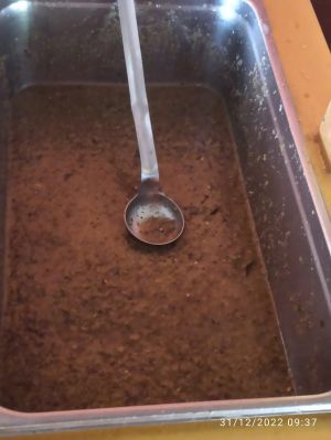 322718796 518295733649766 5833361281024358560 n.jpg