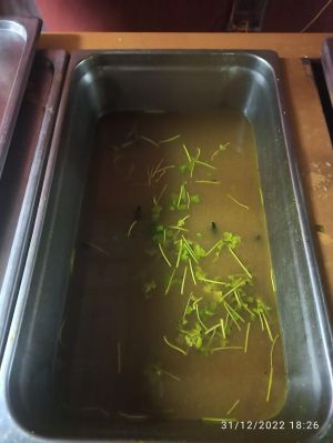 323263713 1250118632583177 8749311767876603378 n.jpg