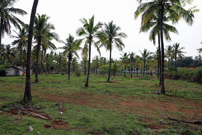 33207281 615245102169882 1694571306458021888 n.jpg