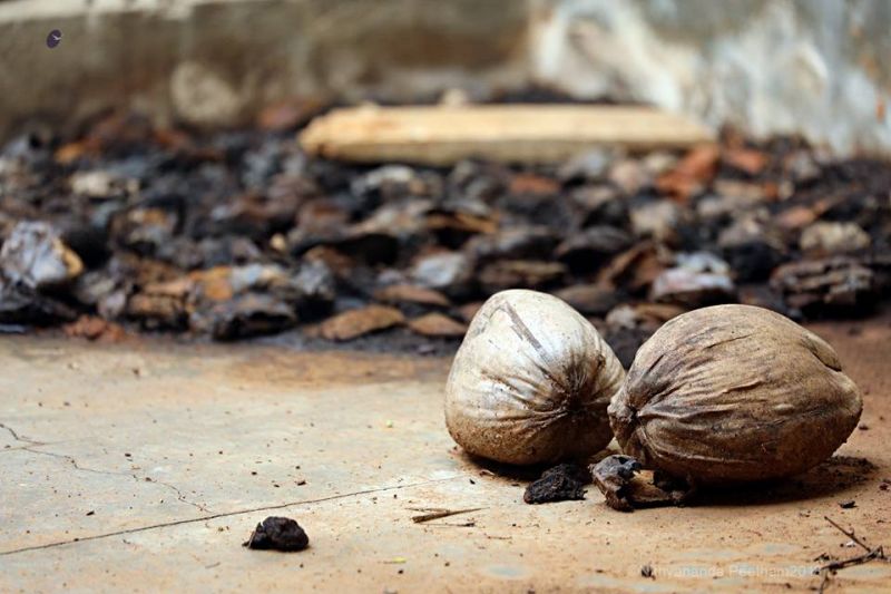 File:33226023 615245902169802 3282679259935539200 n.jpg