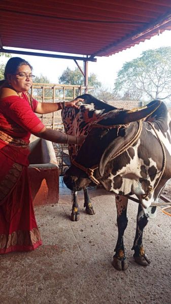 File:3 Image 2021-12-29 at 07.48.48.jpeg