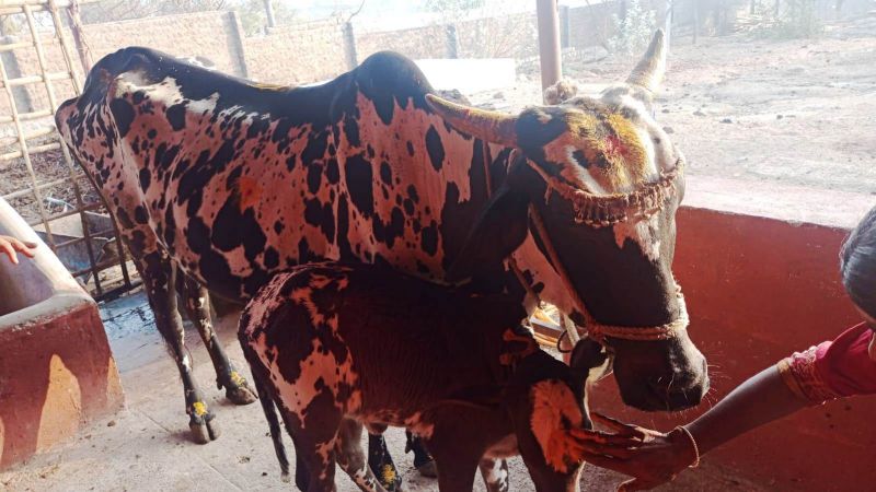 File:4 Image 2021-12-29 at 07.49.48.jpeg