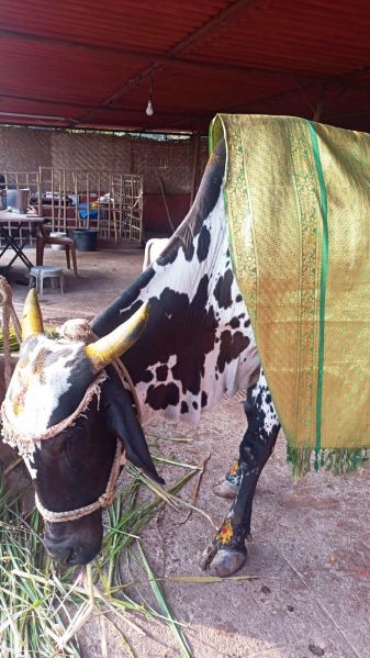 File:6 Image 2021-12-29 at 08.00.28.jpeg