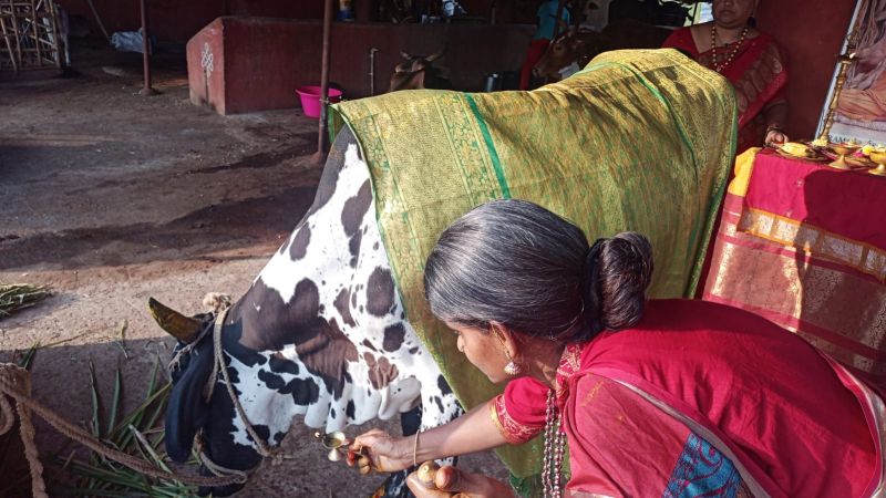 File:7 Image 2021-12-29 at 08.03.17.jpeg