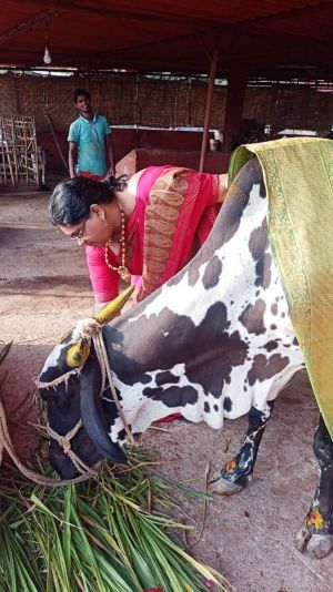 8 Image 2021-12-29 at 08.04.12.jpeg