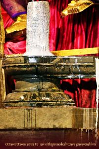 ADIKAILASA-2021-01-31-1QDNUaBahm044ffKdu bV8Sk98PxkkqF5.jpg