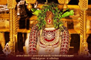 ADIKAILASA-2021-02-08-1iWbFLbBNy2DtRd0aOJlGrAnkLwXY hus.jpg