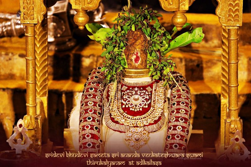 File:ADIKAILASA-2021-02-08-1iWbFLbBNy2DtRd0aOJlGrAnkLwXY hus.jpg