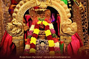 ADIKAILASA-2021-02-17-1FxHsGdWf96R77wRM67wNtPQtH 9VO1tt.jpg