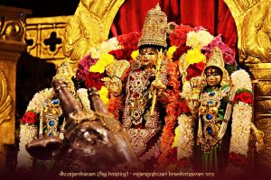 ADIKAILASA-2021-02-17-1 1u3VRWxvDgkKY3t9kz4SxHHUeYsxcSQ.jpg