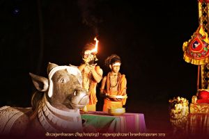 ADIKAILASA-2021-02-17-1elADuvGAhK868NMyrxpDSelt17jNlsqi.jpg