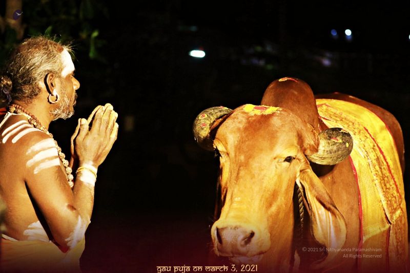 File:ADIKAILASA-2021-03-03-148kEj3uuxvPHqyUljVOOmGDhr1WiUiT .jpg