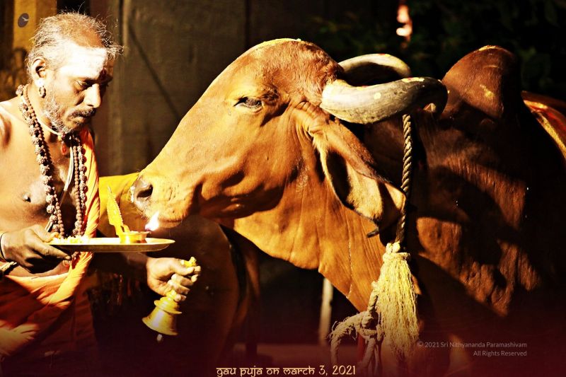 File:ADIKAILASA-2021-03-03-1whlAdIgJ LIAhNAAIhGYrrwe47-Qy7S9.jpg