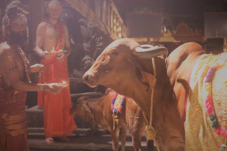 ADIKAILASA-2021-08-21-1Q3lpwCwHMFb3JeN5DKHzJ MeyBl1ho2E.jpg