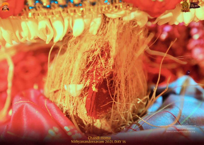 File:ADIKAILASA-2022-01-03-10h-WtZS39g8kCBSYkO 5CNIasPbeG-8G.jpg